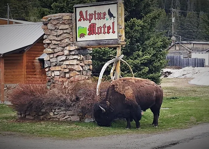 Alpine Of
